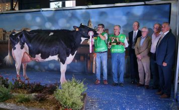 Koketa, de Ganadería Badiola, gran campeona de Asturias