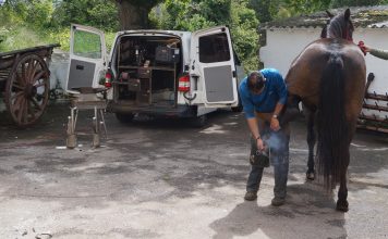 “Como jinete, entrenador y profesional de herraje tengo más conocimiento en caballos de Raid”