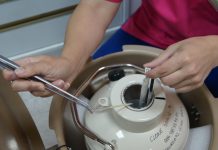 “El sistema CLONE de semen canino congelado cuenta con un resultado de éxito de un 90 %”