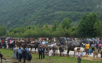 La Gala de las Estrellas ilumina la Feria de La Ascensión de Olloniego