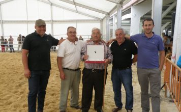 “El recinto ferial contará con boxes y amarres permanentes para los caballos”