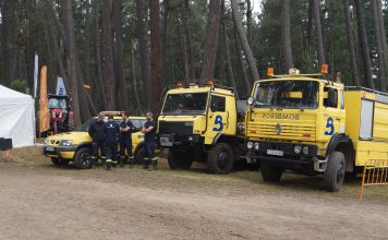 Medidas de prevención de incendios en Asturias