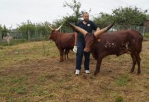 “Estamos valorando varios proyectos y seguiremos aumentando animales”