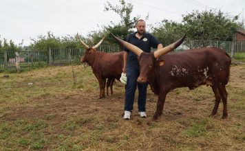 “Estamos valorando varios proyectos y seguiremos aumentando animales”