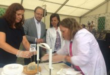 La puja por el Mejor Cabrales del Mundo alcanzó los 3.300 euros