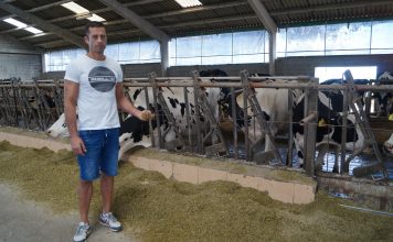 Ganadería Gafeiro (Castropol): “Con la mezcla húmeda nuestra media de producción es 37 litros por vaca y día”