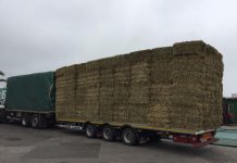 Almacenes Lorences: “Seleccionamos nuestros forrajes basándonos en la calidad”