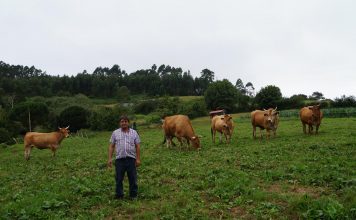 Manuel Fdez.: «Hay que apostar por lo tradicional”