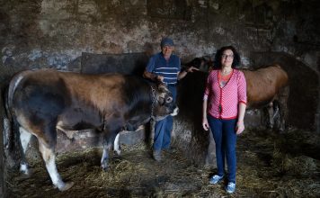 “Al Concurso de Llanera viene el mejor ganado de Asturias”