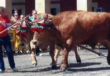 Íñigo Auerrekoetxea: “La prueba de Llanera para mí será difícil”