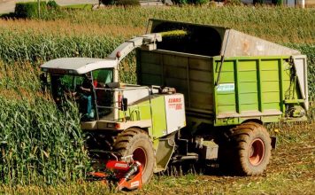 “La calidad del silo viene determinada por picar el maíz en el momento óptimo”