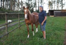 “Los caballos de deporte aportan un valor añadido al campo”