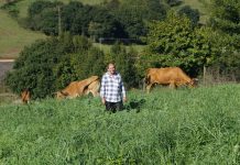 Fernando Solís, tratante: “Cerrar el trato con un apretón de manos ya pasó de moda”