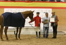 ‘Konan SFM’, Campeón de Campeones en el Concurso Morfológico de ANCADES