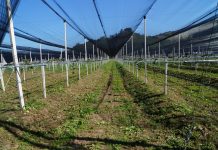 El Programa Leader subvenciona 264 proyectos