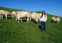 “La carne se paga a poco precio para los gastos que tenemos que afrontar”