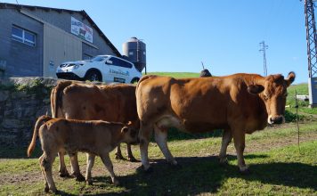 El Campo de Asturias, vuestro periódico