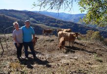 “La participación en concursos te aporta ilusión para mejorar la ganadería”