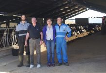 “La inversión en la nave es rentable, las vacas están más cómodas y tienen mayor producción”