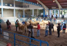 La obtención del título de juez calificador despierta gran interés entre los jóvenes