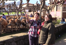 Entrevista a Ana Rosa Rozada