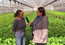 Entrevista a Cecilia Fernández