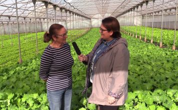 Entrevista a Cecilia Fernández