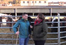 Entrevista a Carlos Caleyín