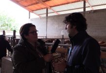 Centro de Cebo Experimental de Cibuyo (Cangas del Narcea)