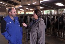 Ganadería Carbayeda, entrevista a José Luis Fernández