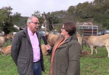Entrevista a Ibo Álvarez, director general de Ganadería