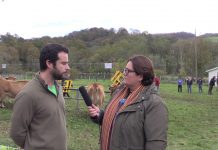 Entrevista a Gonzalo Suero, concejal de Medio Rural y Ganadería de Cangas de Onís