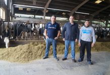 Ganadería La Corona: “Un ganadería es una empresa, el objetivo es conseguir mayor eficiencia”