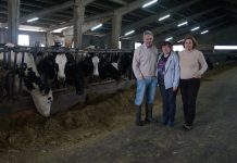 Ganadería San Martín SAT: “Mantenemos la ilusión y trabajamos por un futuro mejor”