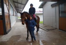 Cruz Maestre, Yeguada Finca Maeza: “La equitación para nosotros es una pasión”