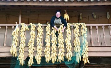Agricultores tradicionales del siglo XXI