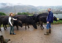 Angus del Principado, todo un referente de alta genética de Aberdeen Angus en España