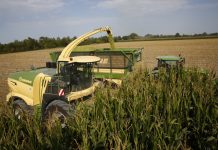 Nueva Krone BiG X, Máquina del Año 2018