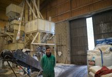 “Suroccidente Agrícola ofrece mezclas especiales para el vacuno de carne estabulado en invierno”