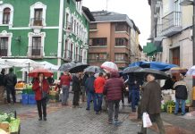 Los domingos, al mercado de Grado