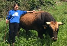 Ganadería Álvarez y Velasco SC: “A principios de primavera están inquietas por subir al Puerto, les gusta la libertad”