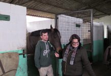 Entrevista a Gonzalo Menéndez de la Yeguada GM Horses