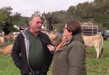 Entrevista a Valeriano Remis, presidente de ASEAMO