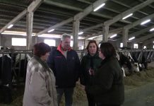 Entrevista a Ganadería San Martín SAT (Valdés)