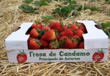 La huerta ecológica de Javier