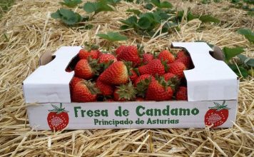 La huerta ecológica de Javier