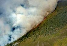 El Consejo de Ministros ratifica la declaración de emergencia de las obras de restauración del incendio de Degaña