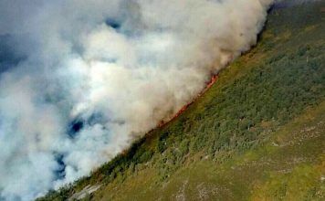 El Consejo de Ministros ratifica la declaración de emergencia de las obras de restauración del incendio de Degaña