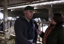 Ganadería Casa El Bolero en Canero (Valdés)