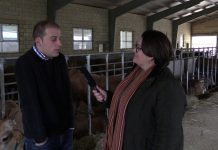 Ganadería Casa Manolo de La Espina (Salas)